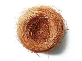 Сіно