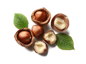 Фундук