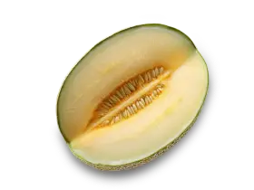 Диня