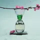 Sakura Snow купить