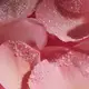 Lalla La Rose