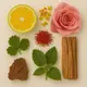 The Rose купить