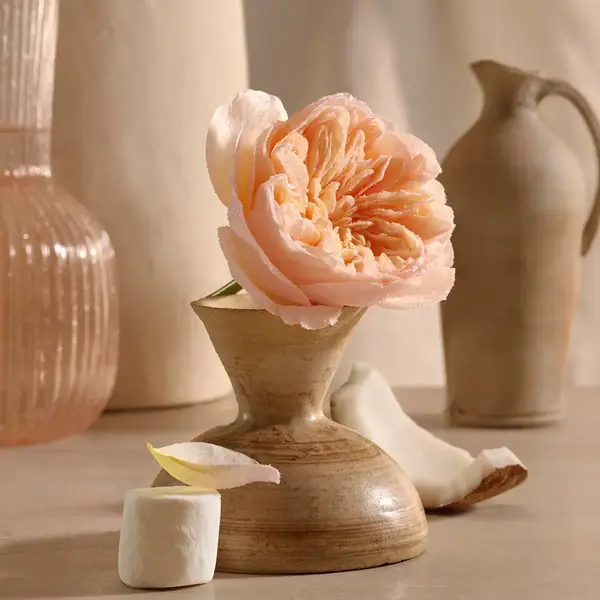 Lalla La Rose 3