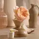 Lalla La Rose
