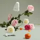 The Coveted Duchess Rose купить