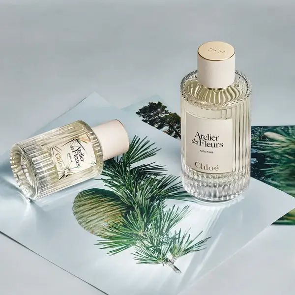 Atelier Des Fleurs Cedrus 5