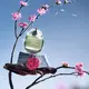 Sakura Snow купить
