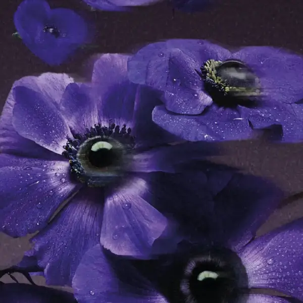 Ame de Fleur 6