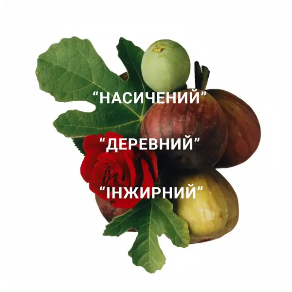 Zepherirne 2
