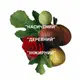Zepherirne