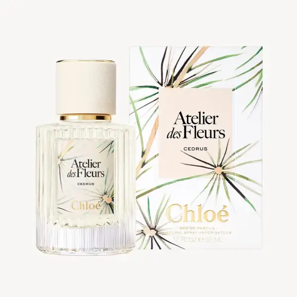 Atelier Des Fleurs Cedrus 2