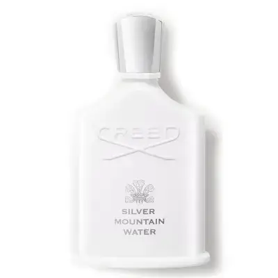 Silver Mountain Water